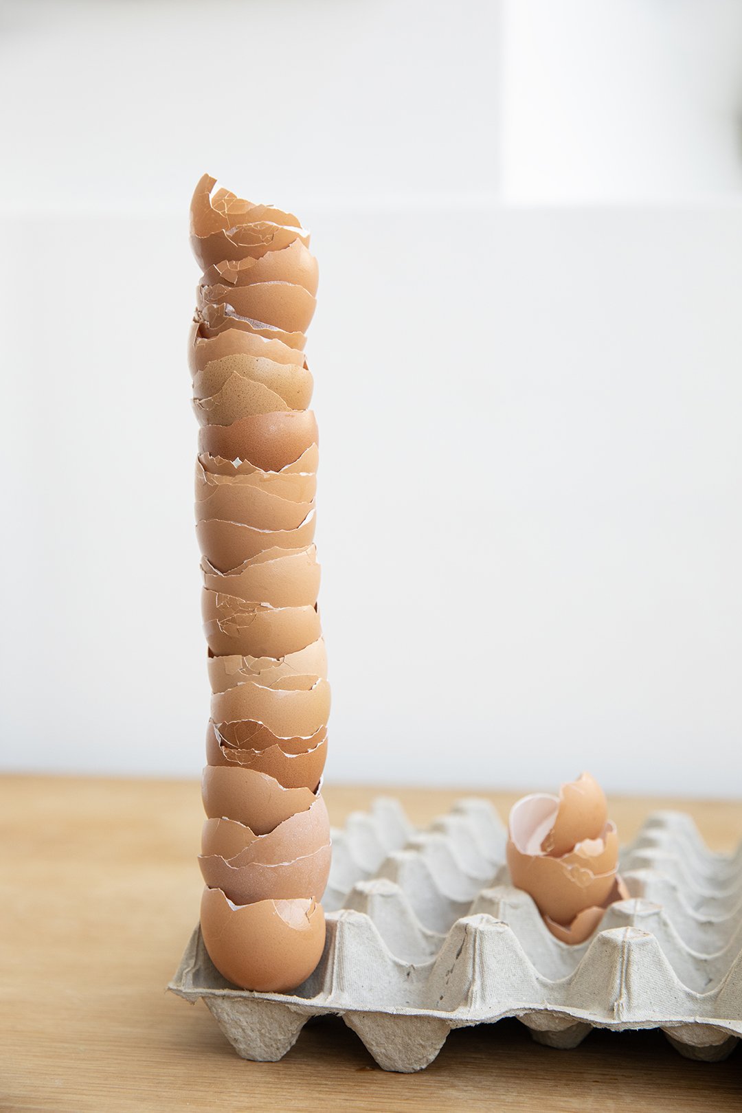 9A7A5360 Eggshells copy 2.jpg