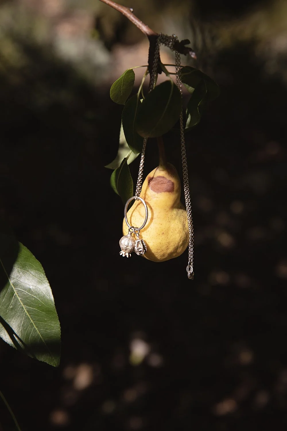 9A7A4330 copy 2.jpg