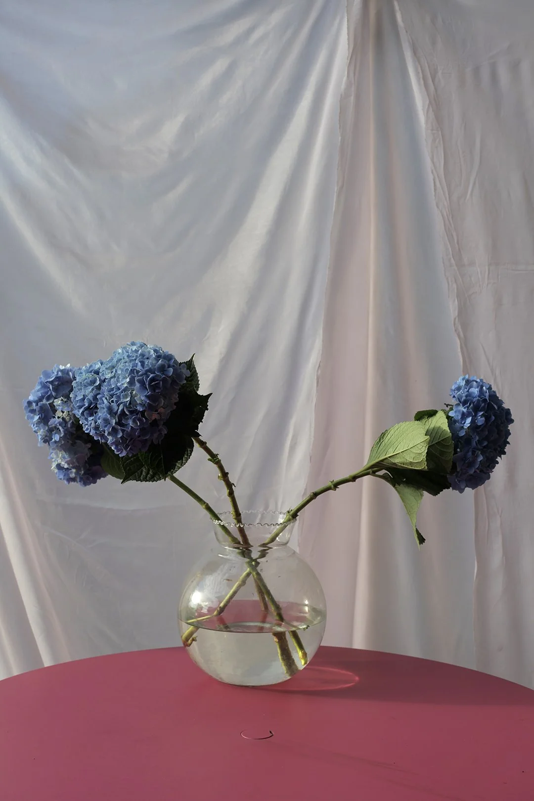 IMG_8462 copy 2.jpg