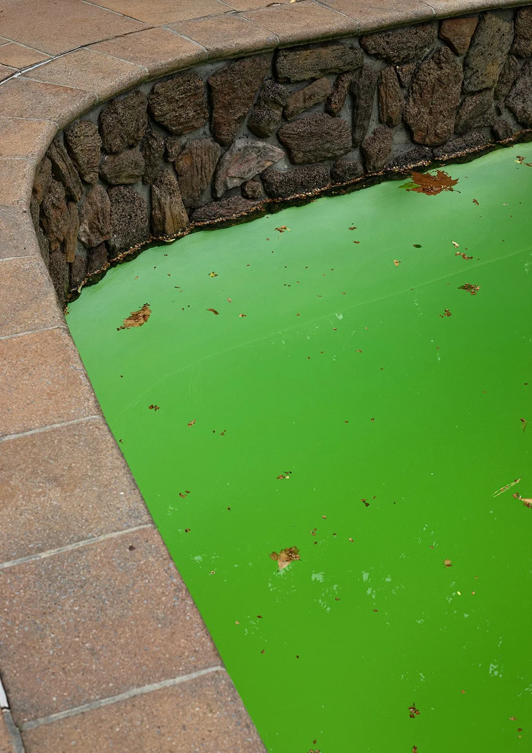 Katrina's Pool copy 2.jpg