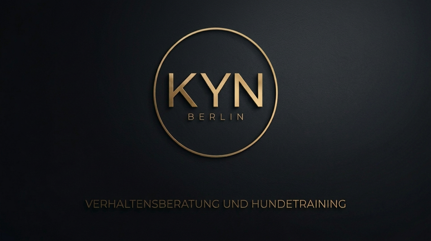 Logo von KYN Berlin mit goldenen Buchstaben auf dunklem Hintergrund, darunter die Worte 'Verhaltensberatung und Hundetraining'.