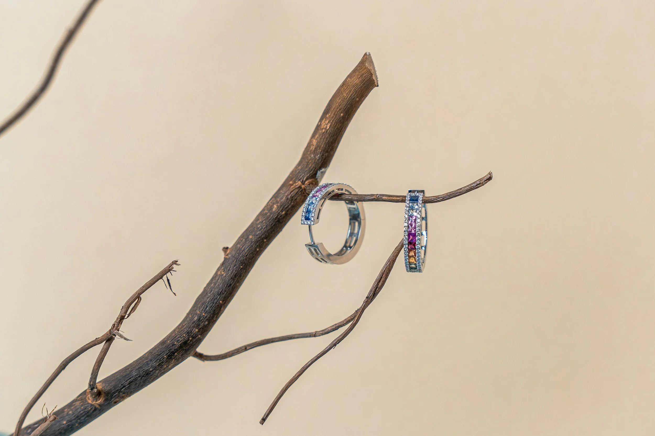 Two colorful rainbow-colored rings hanging from a bare tree branch against a plain beige wall background.