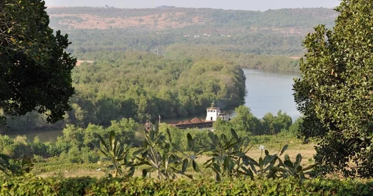 Goa Real Estate Beyond ROI: What's Happening East of NH66 and in South Goa