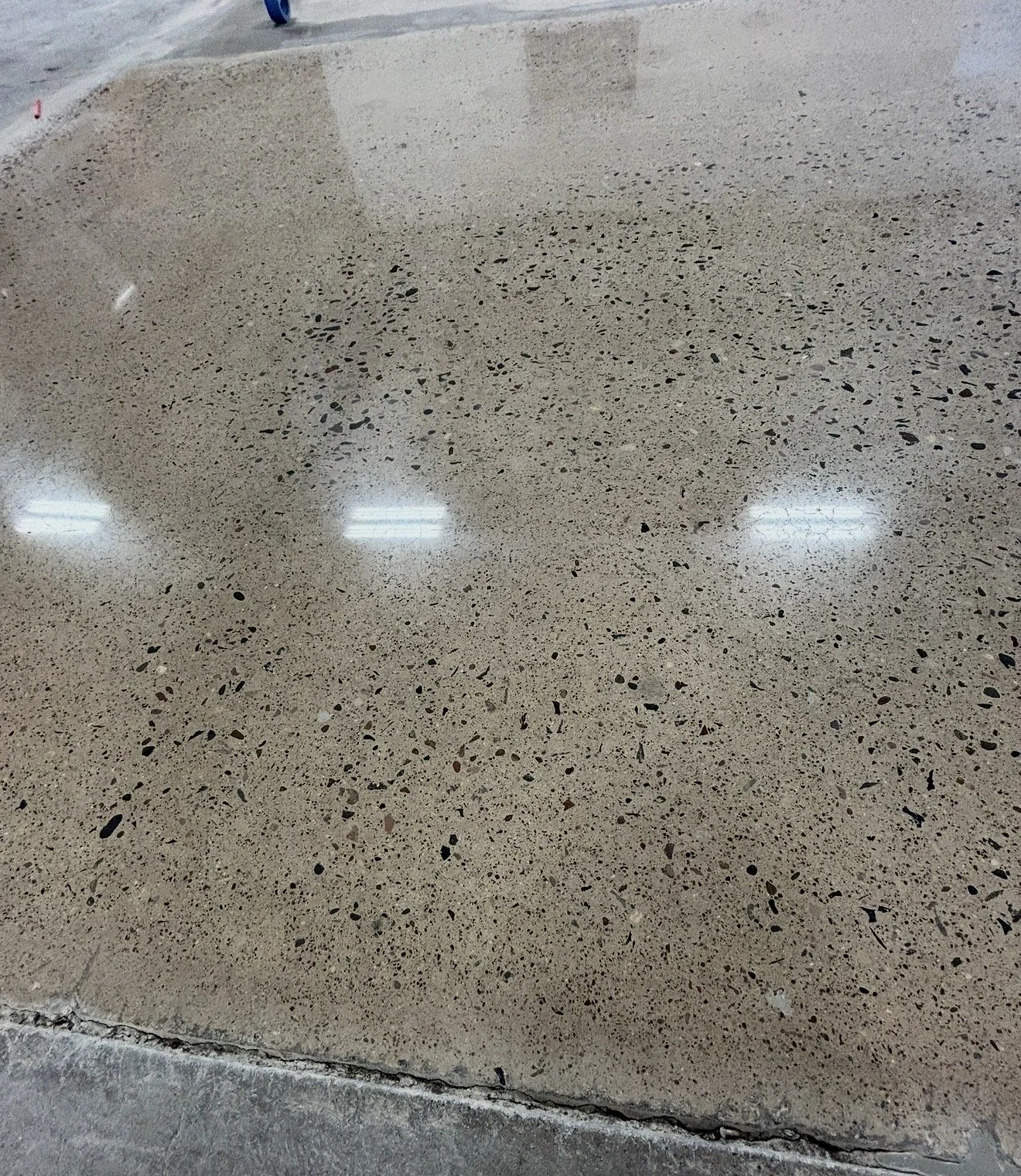 Close-up photograph of a polished concrete floor showing a beige base with small black, brown, and gray stone chips, reflecting overhead fluorescent lights.