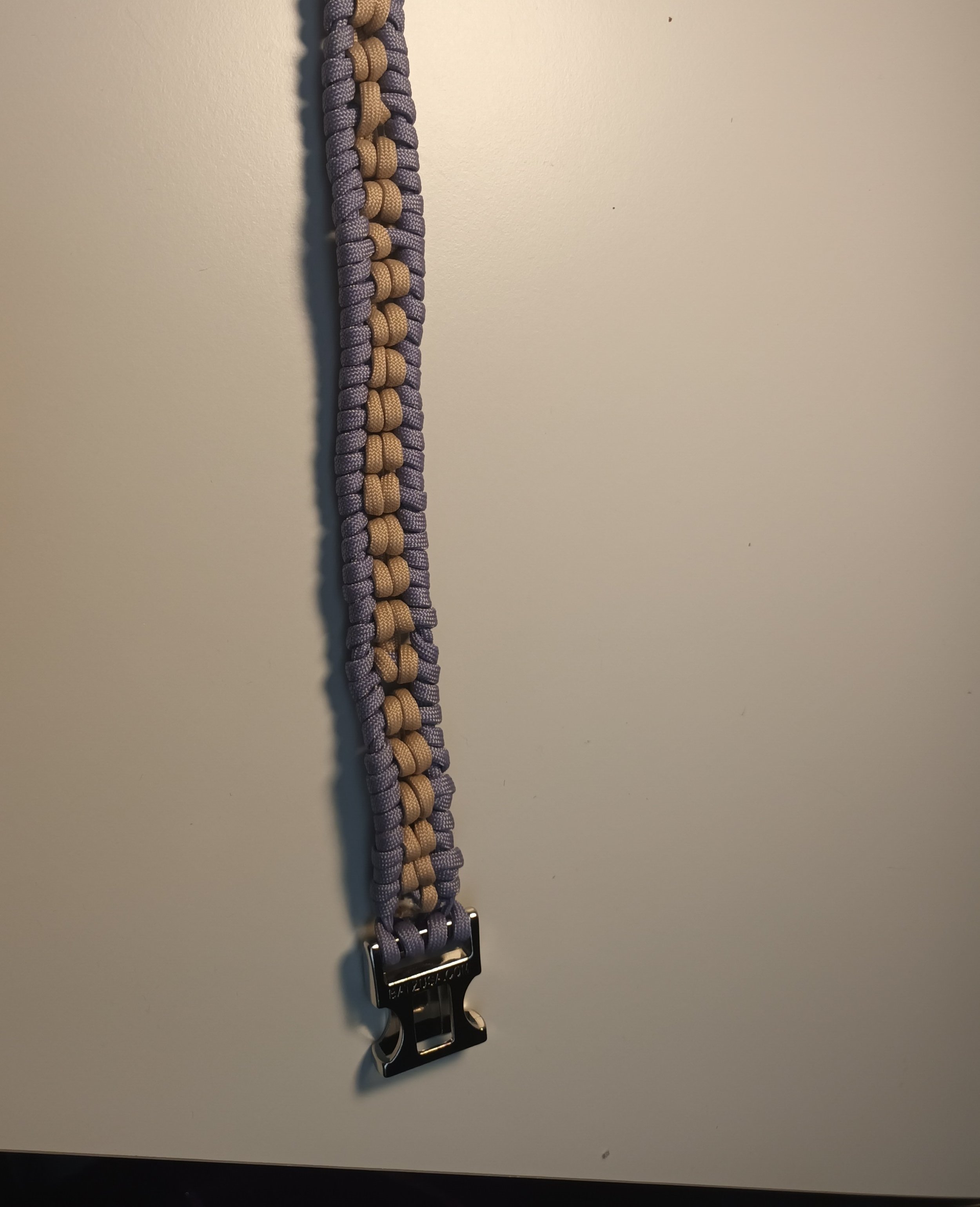 1000023042.jpg