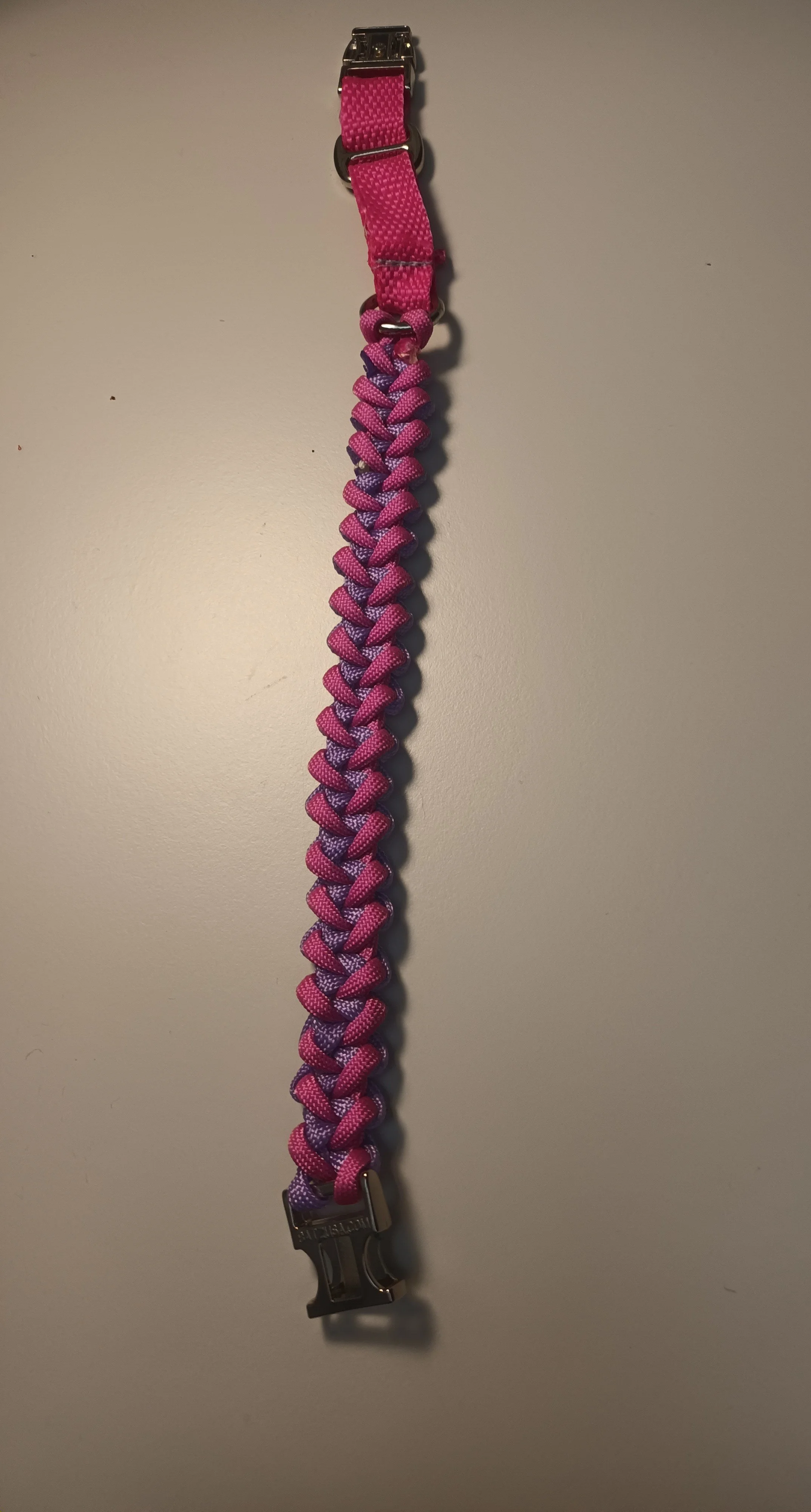 1000023047.jpg