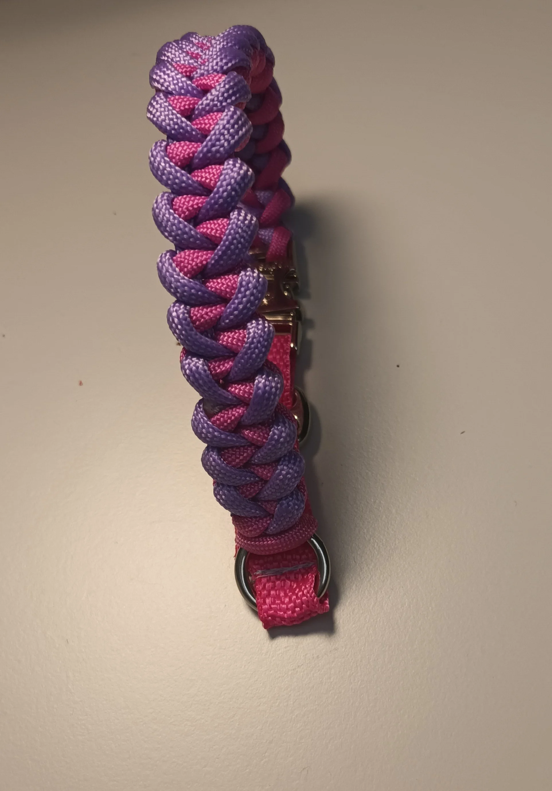 Shark Tooth design dog collar