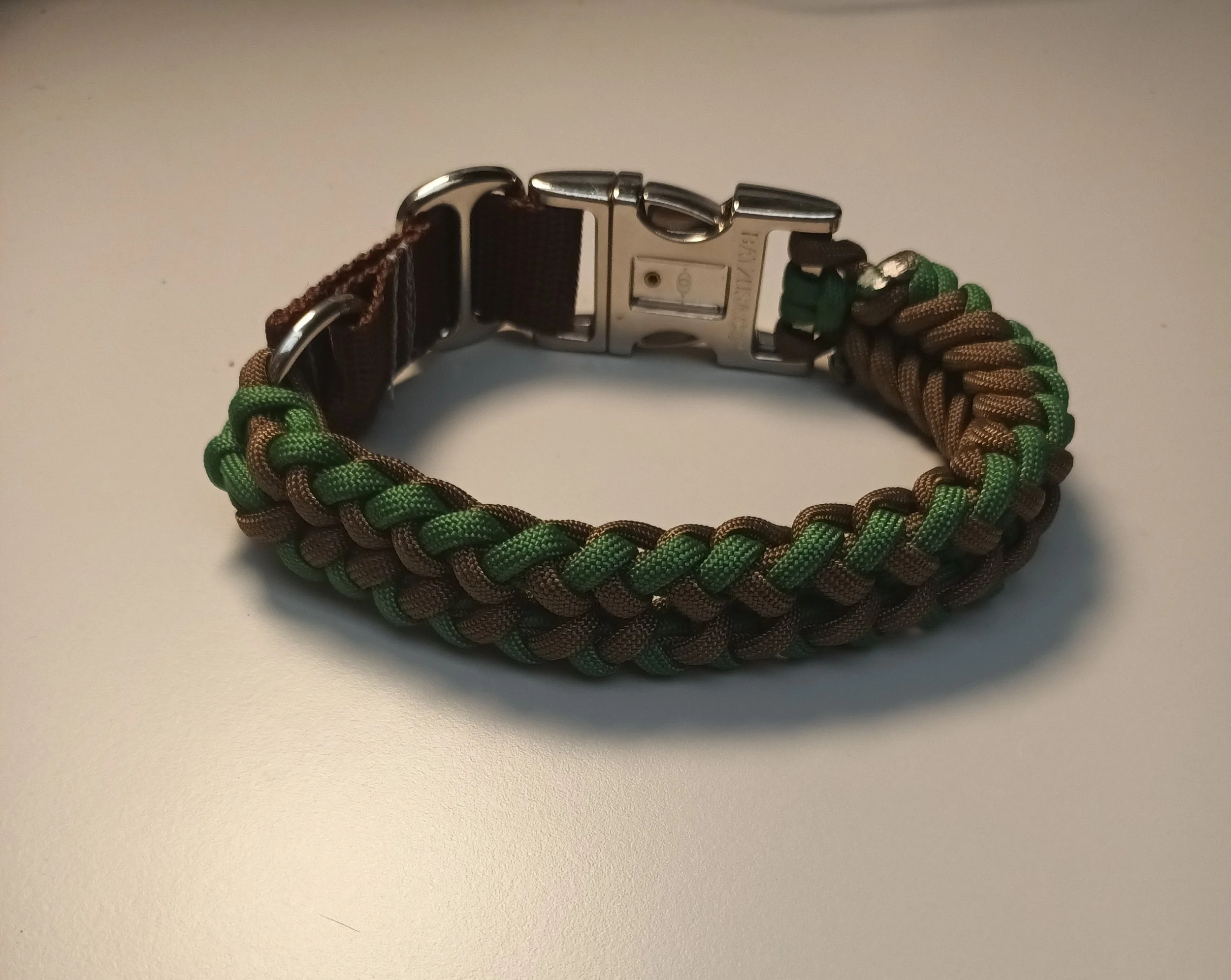 1000023032.jpg
