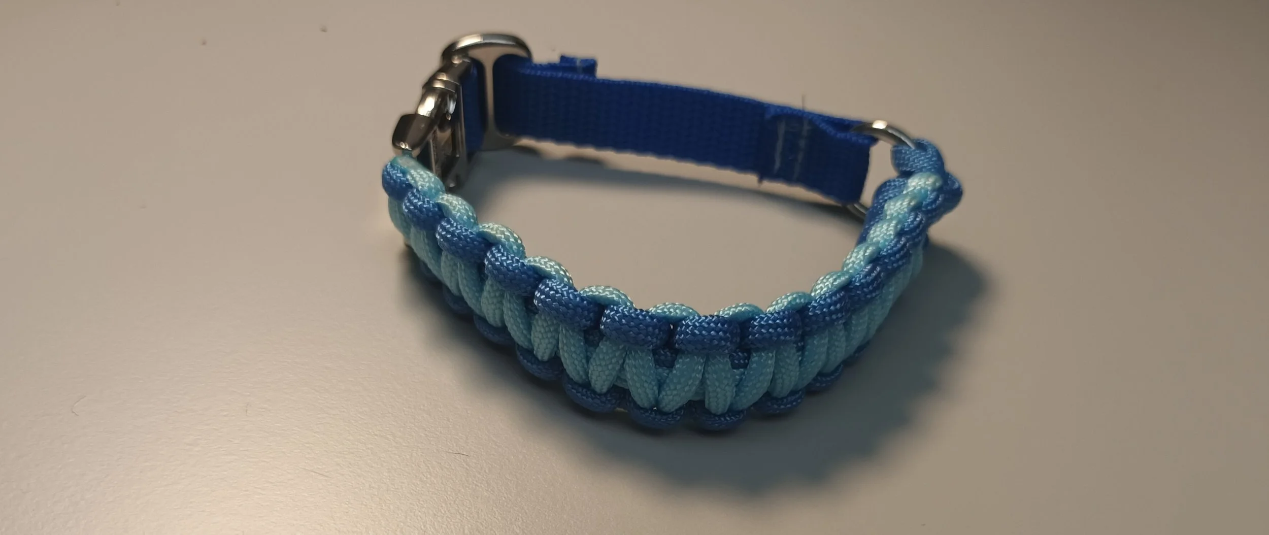 Standard design dog collar
