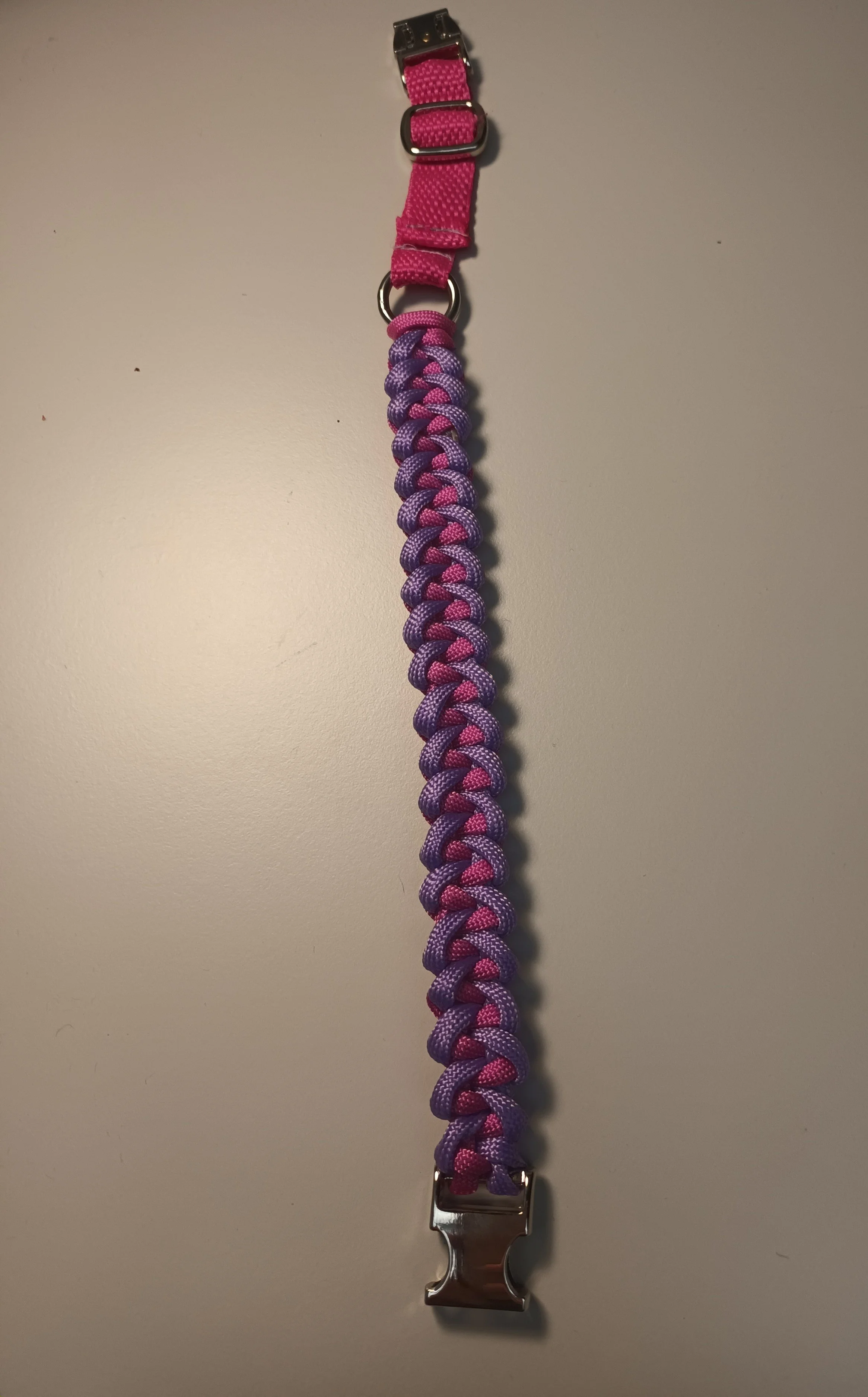 1000023046.jpg