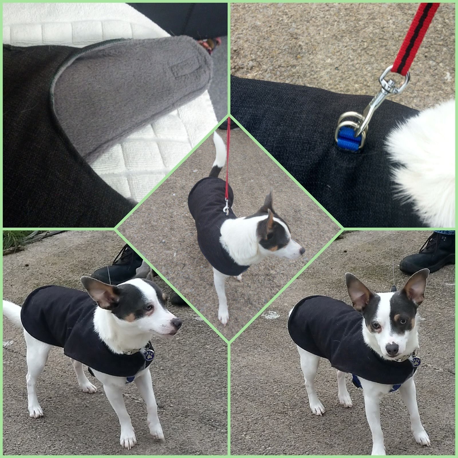 Water proof dog coat - made to measure, complete with hole for harness attachment