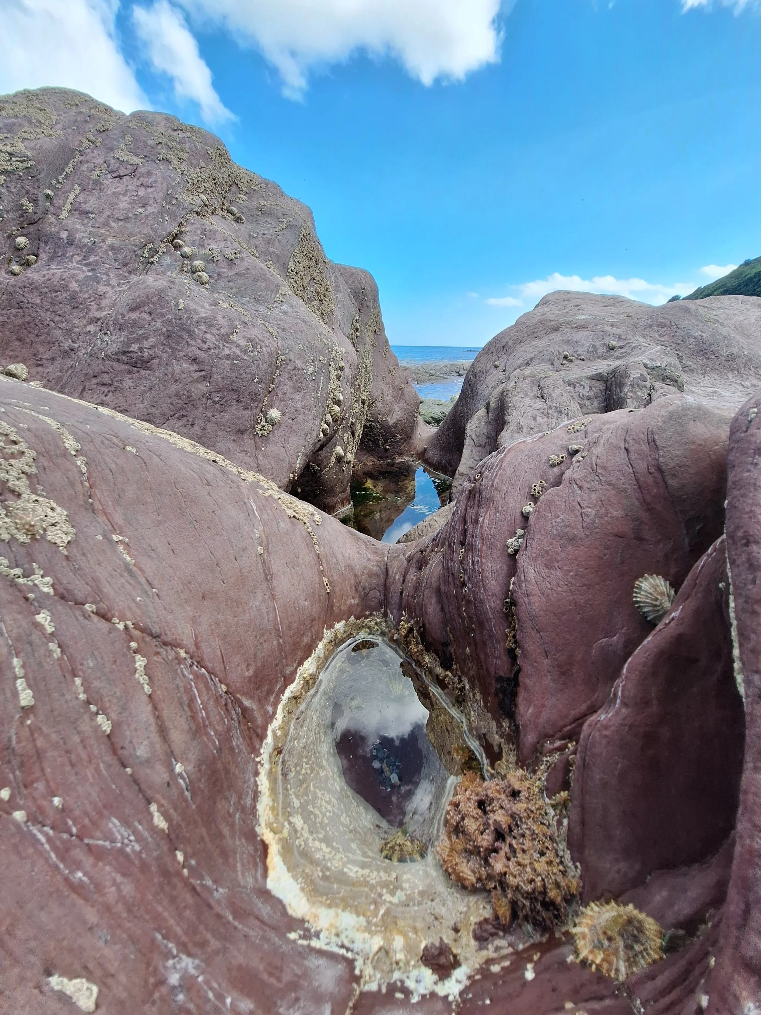 Barnacle covered rocks and a tide pool on the shoreline, with the open ocean beyond. Coastal imagery for AbeySea's Maritime storytelling