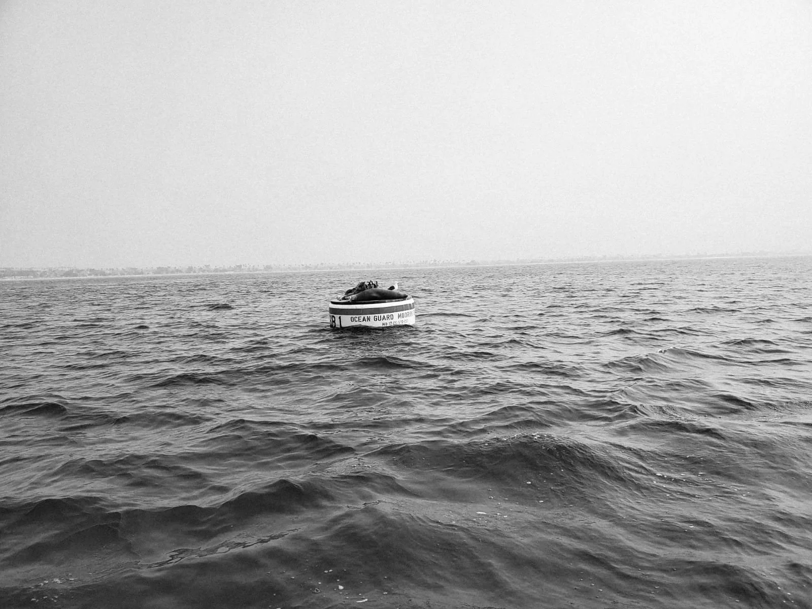 Black and white image of open water with a marker buoy in the foreground and a distant city skyline. Maritime and Urban worlds side by side, reflecting AbeySea's Social & Governance focus.