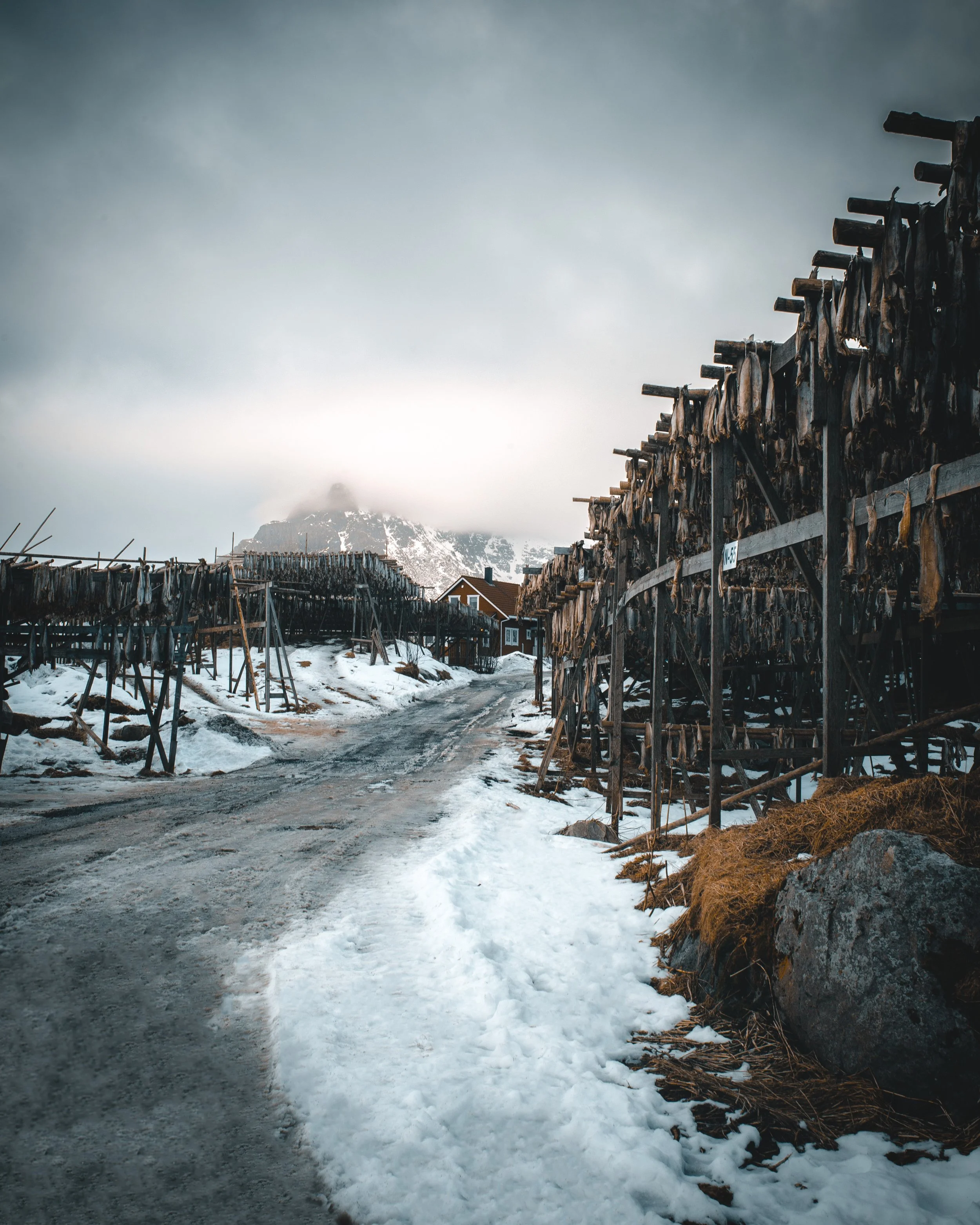 20190320-_MG_8339-Bearbeitet.jpg