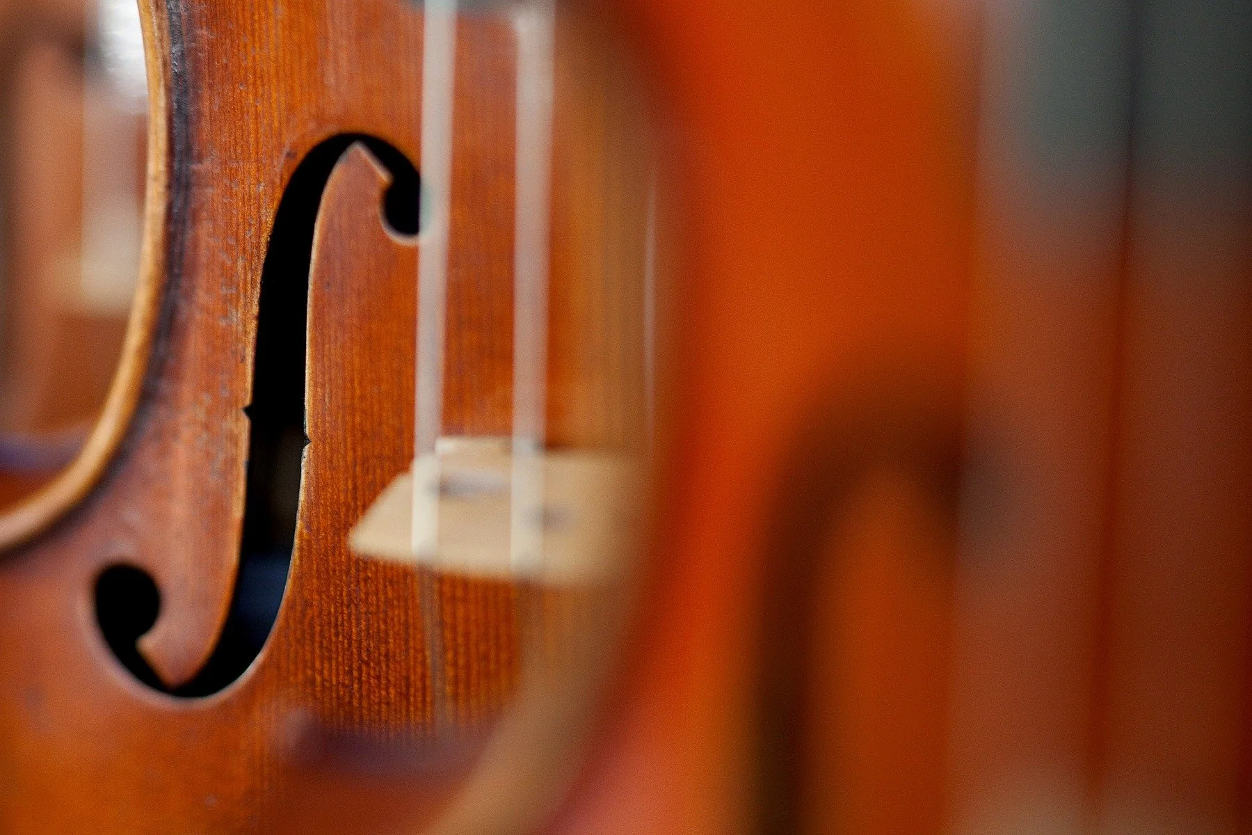 Olsen Violins