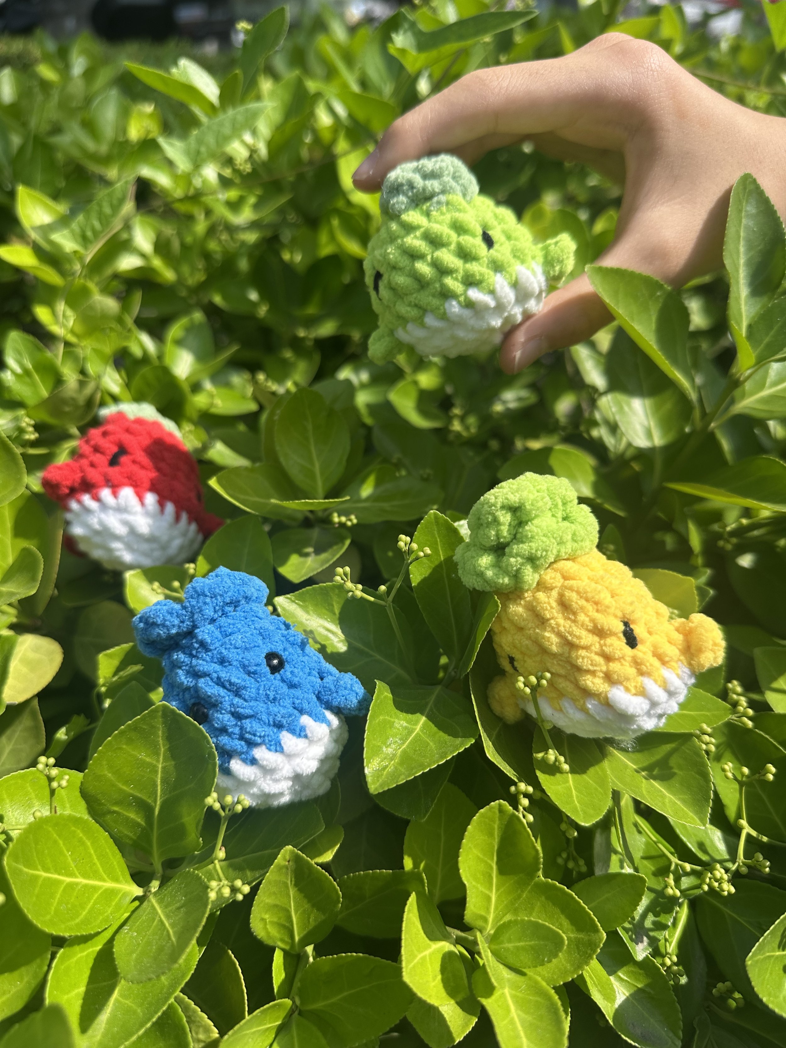 Collection of Projects