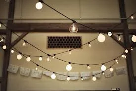 festoon mixed.jpg
