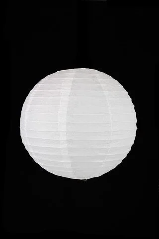 L2513_1.jpg