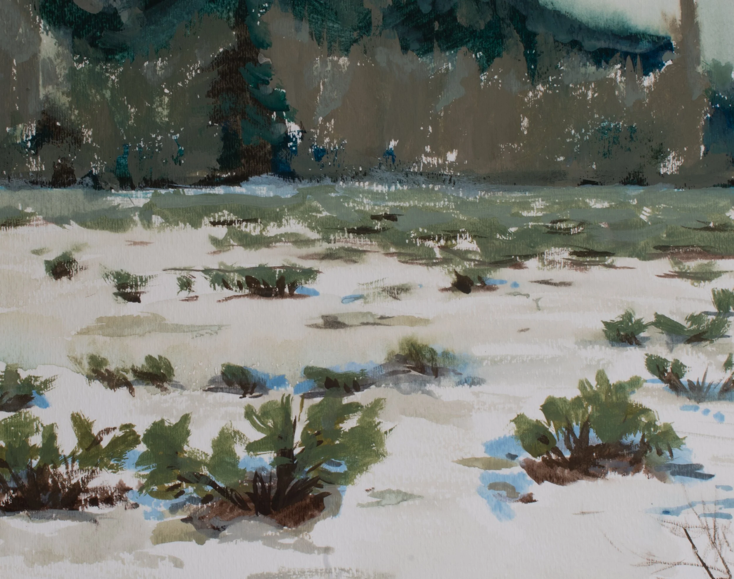 A watercolor painting of a landscape with trees and a cloudy sky.