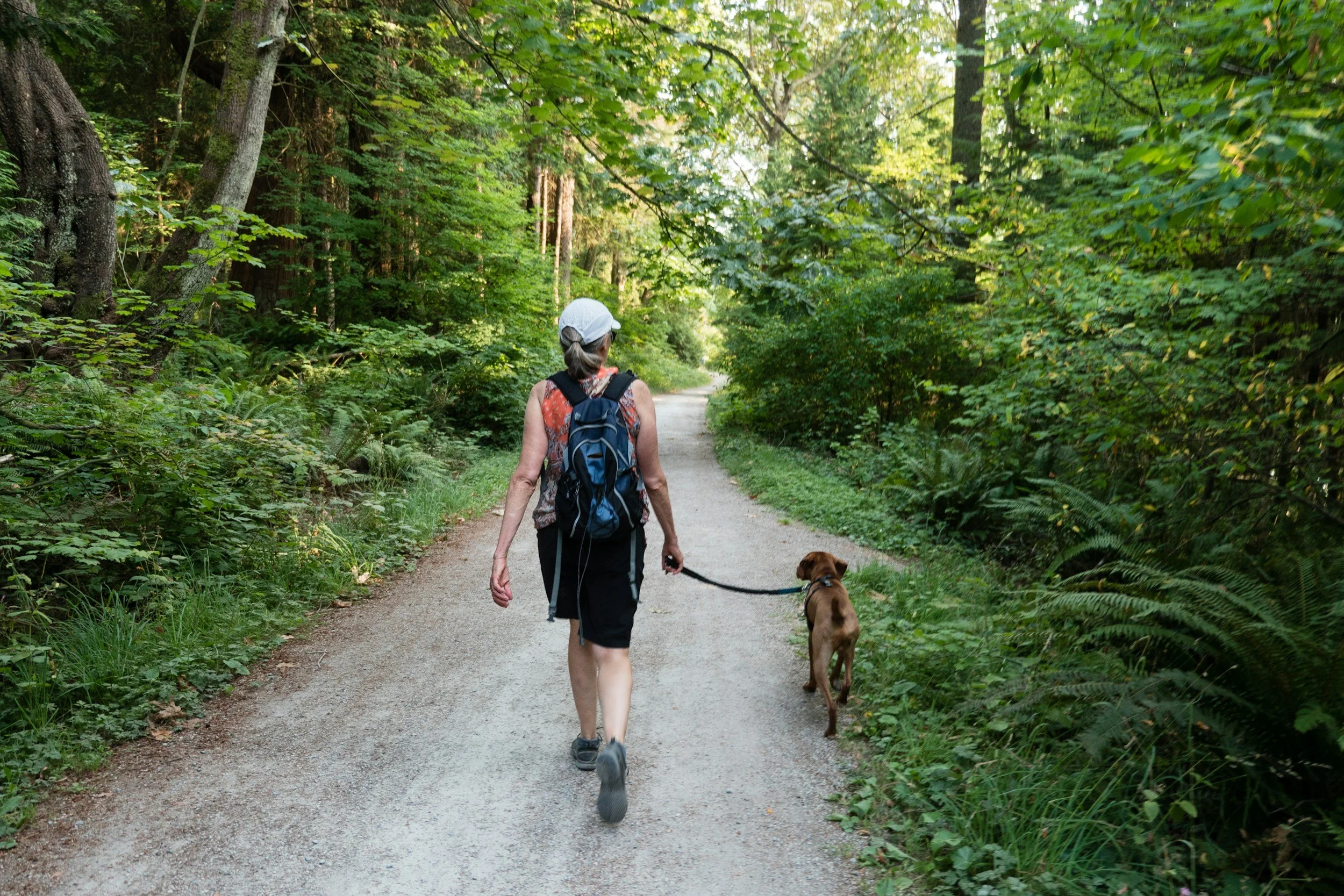 A person walking with one dog on a forest trail surrounded by green trees and foliage.