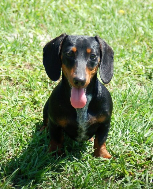 Emma-1-500x618.jpg
