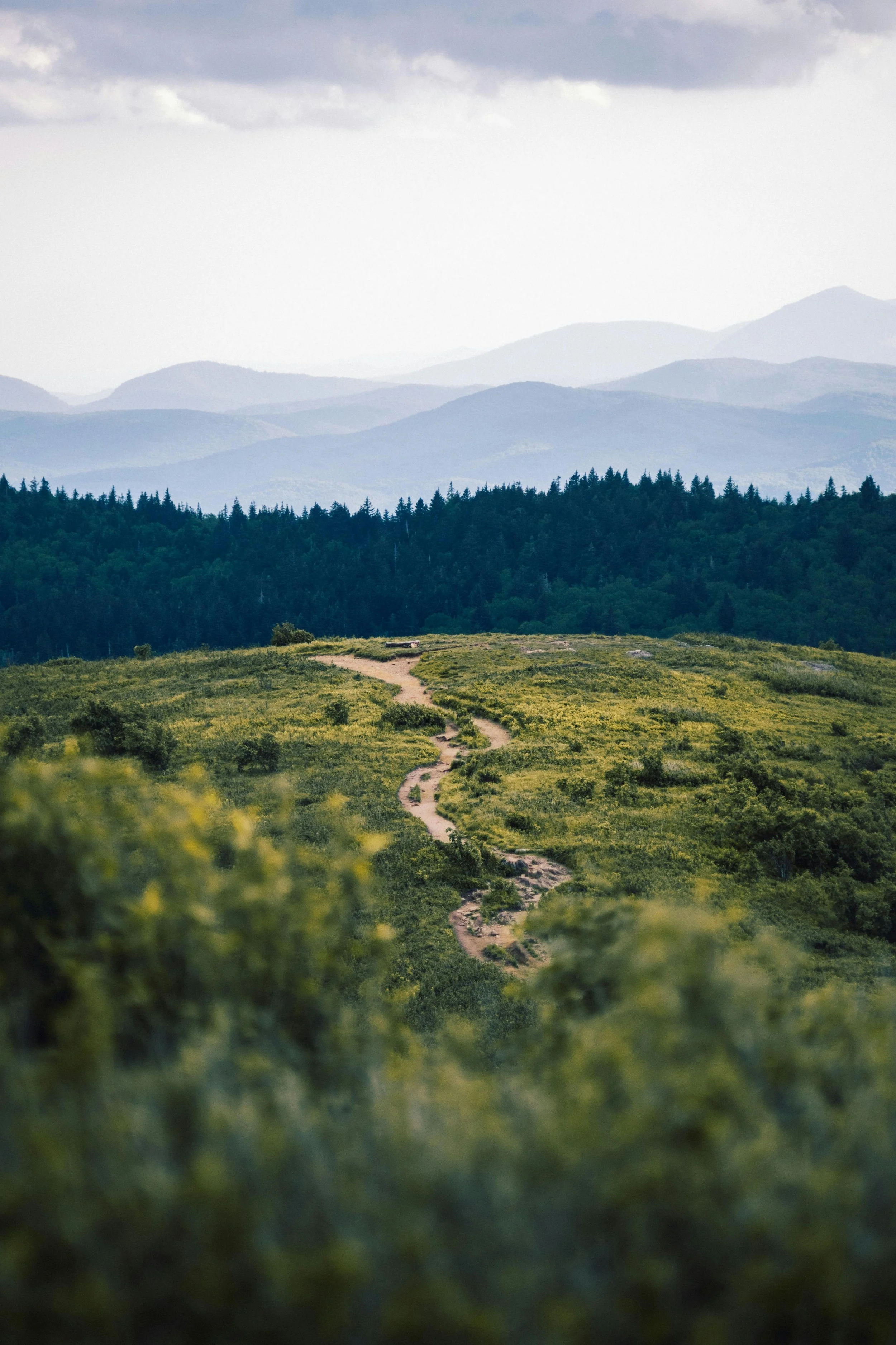 A winding dirt path through green hillside meadows leading toward layered mountains, symbolizing the gradual, phase-based journey of trauma therapy