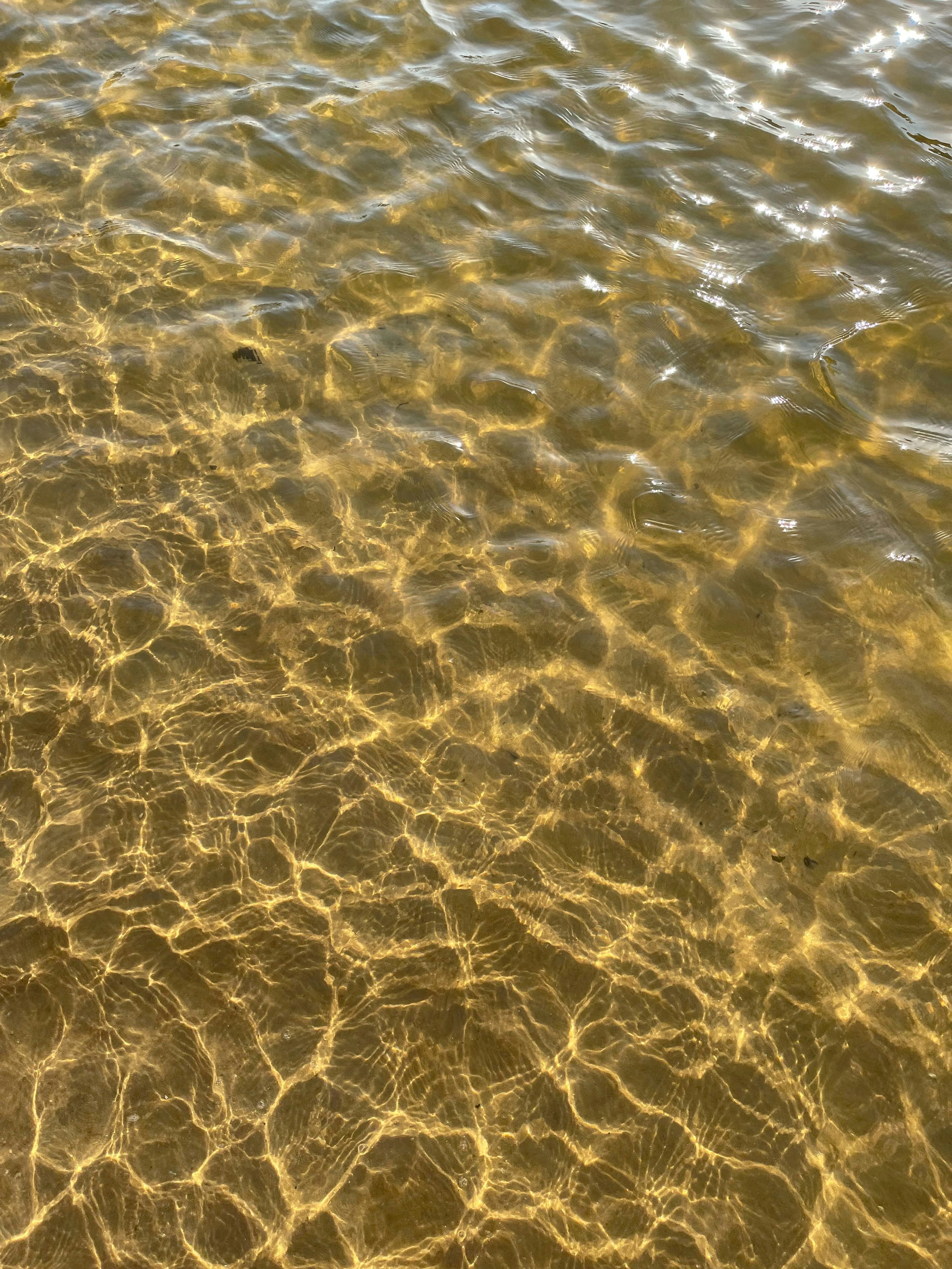Clear shallow water with sun reflecting indicating access to what is below the surface