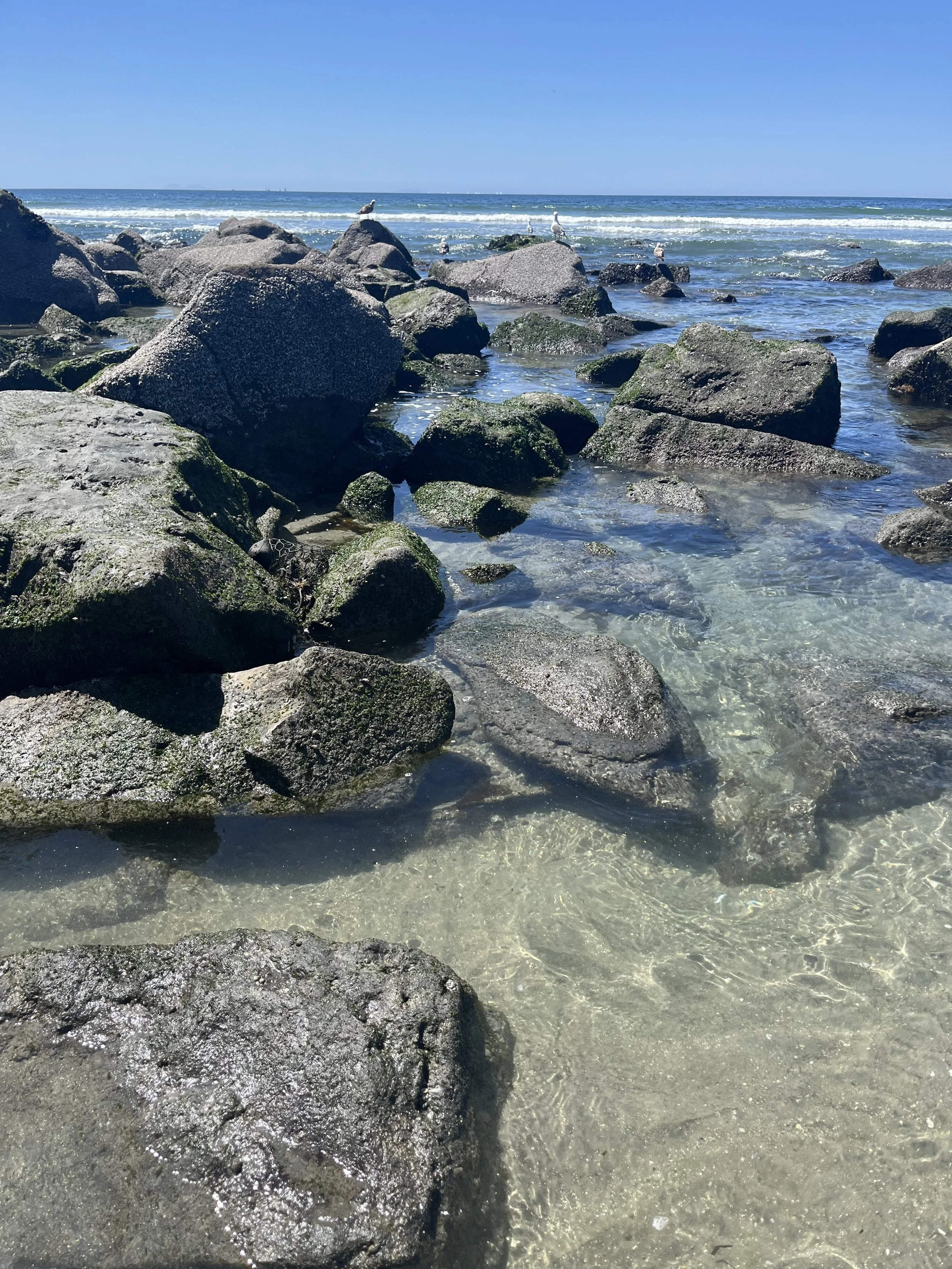 IMG_5621.jpeg