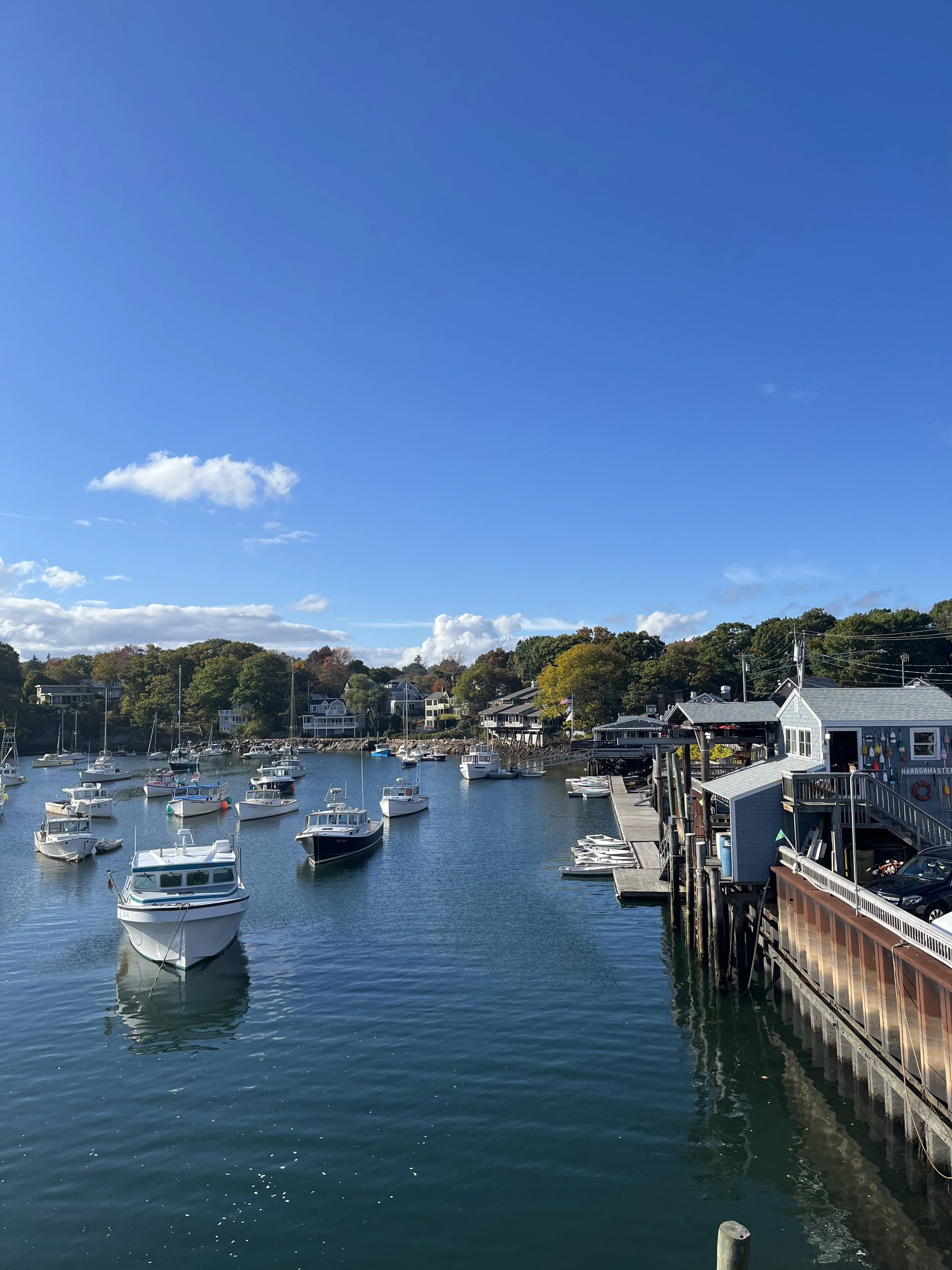 IMG_0201.jpeg