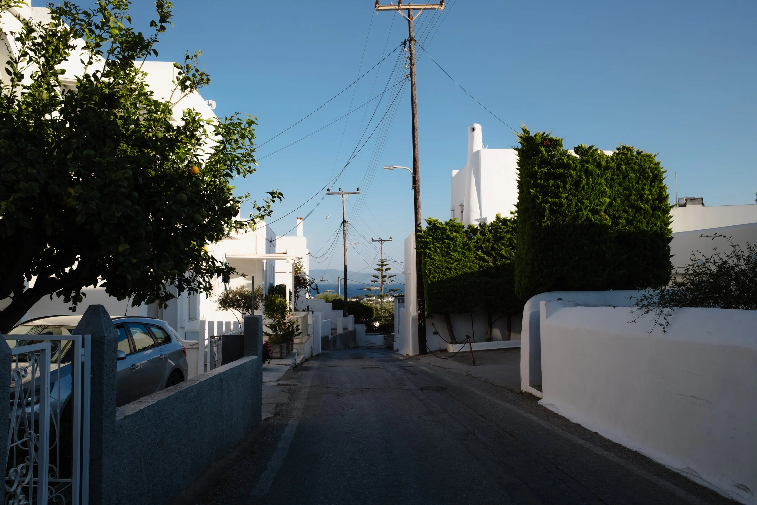 DSCF2462.jpg