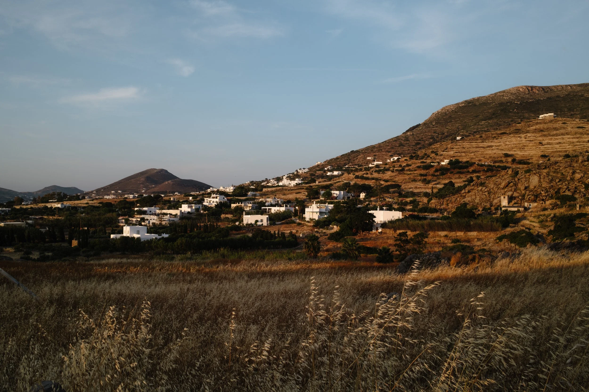 DSCF2649.jpg