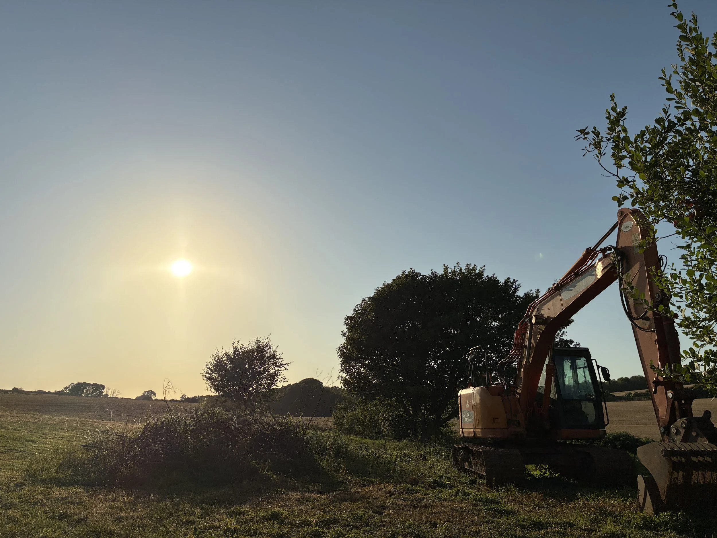 Construction excavator parked on grass and dirt with a tree and open field in the background, under a bright sun in the sky.