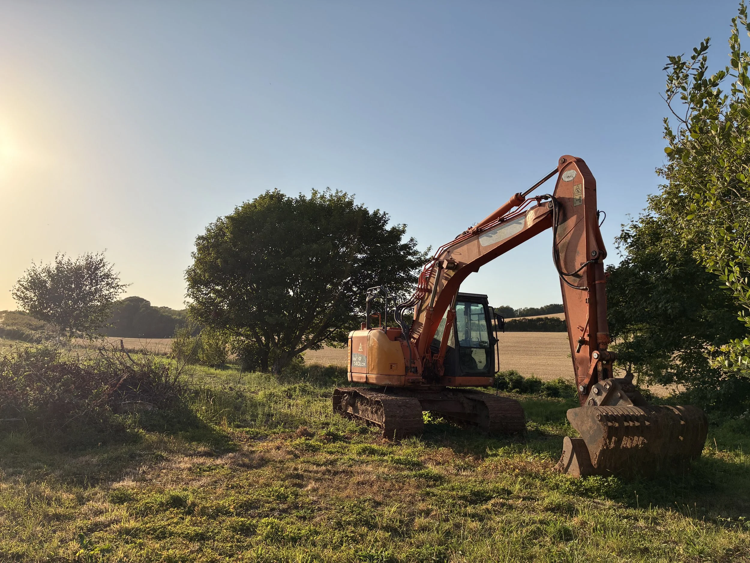 A front view of an orange excavator in a field during sunset with trees and open land in the background.