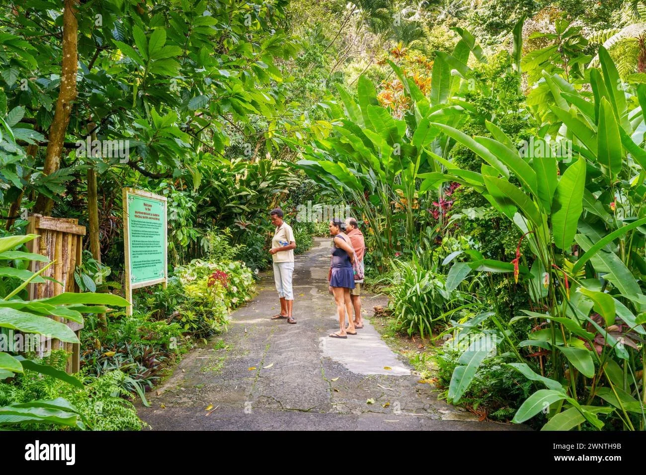 diamond-waterfall-and-botanical-garden-soufriere-saint-lucia-west-indies-eastern-caribbean-2WNTH9B.jpg