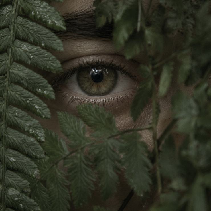 Een close-up van een oog dat gedeeltelijk verborgen is achter groene bladeren.