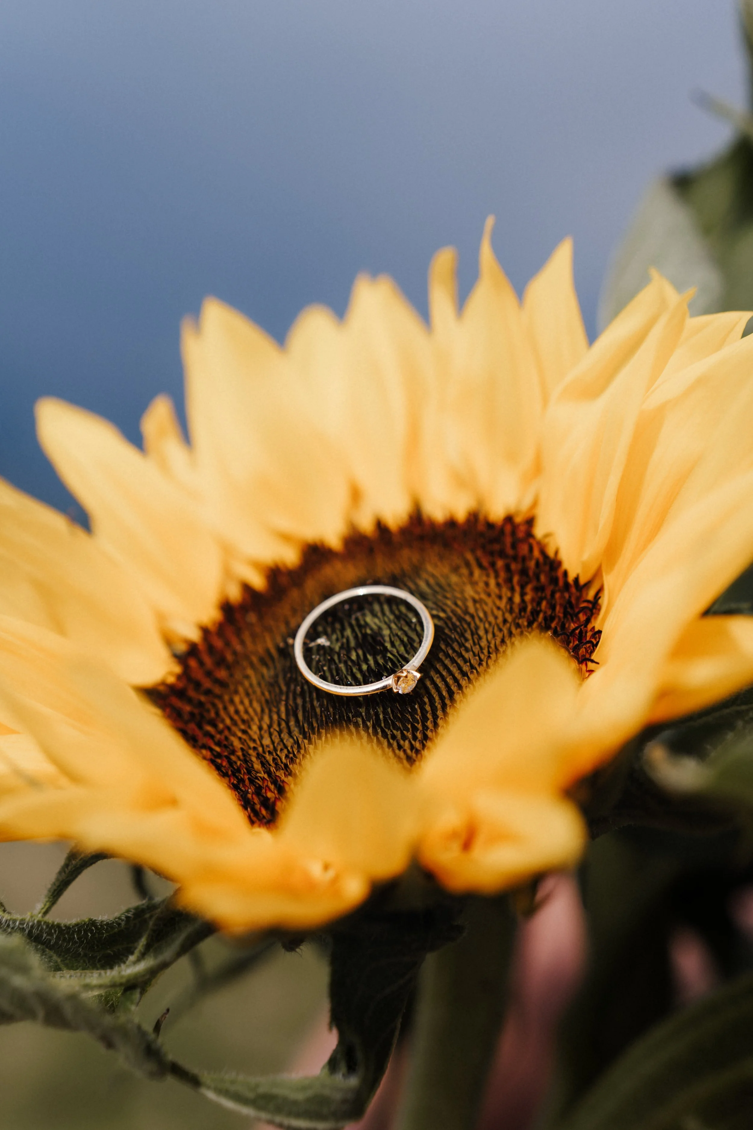 elopement-hochzeitsfotografin-3810.jpg