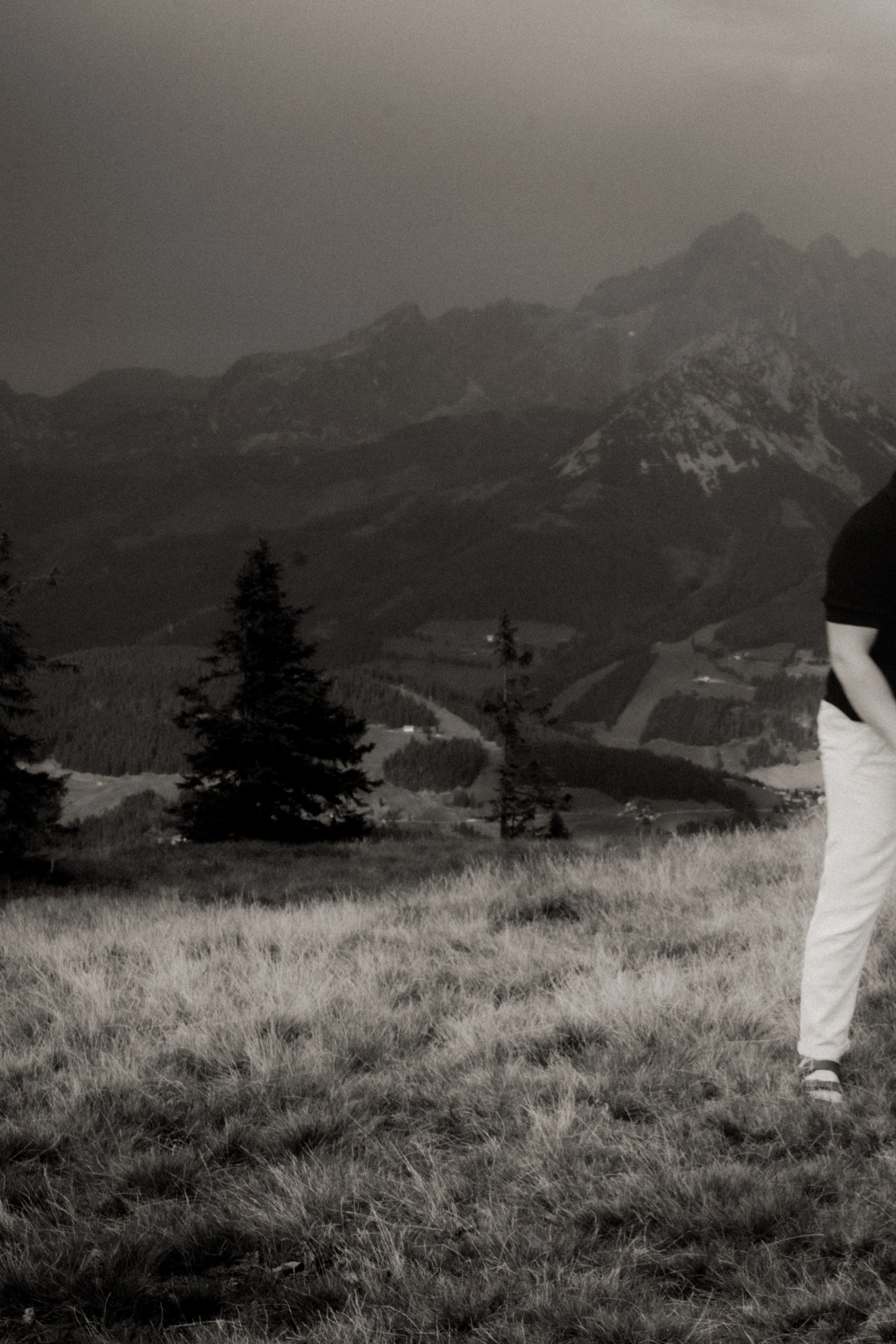 Schwarz-Weiß-Bild einer Landschaft mit Bergen im Hintergrund, Wiesen im Vordergrund und Bäumen in der Mitte. Ein Teil einer Person ist im rechten unteren Bild sichtbar.