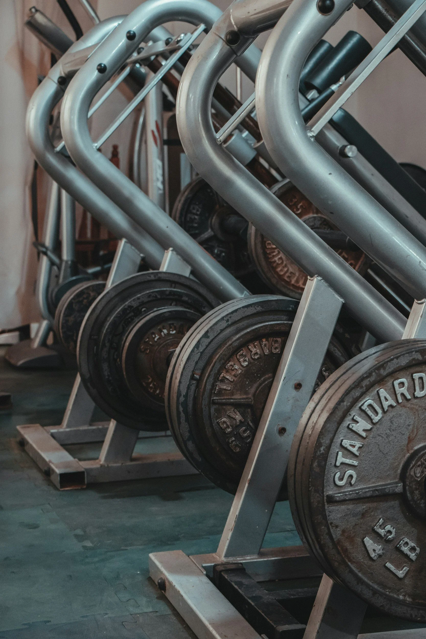 A row of weightlifting bars with large weight plates stored on a metal rack in a gym.