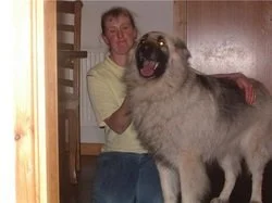 A woman smiling and holding a large dog inside a home, near a doorway.