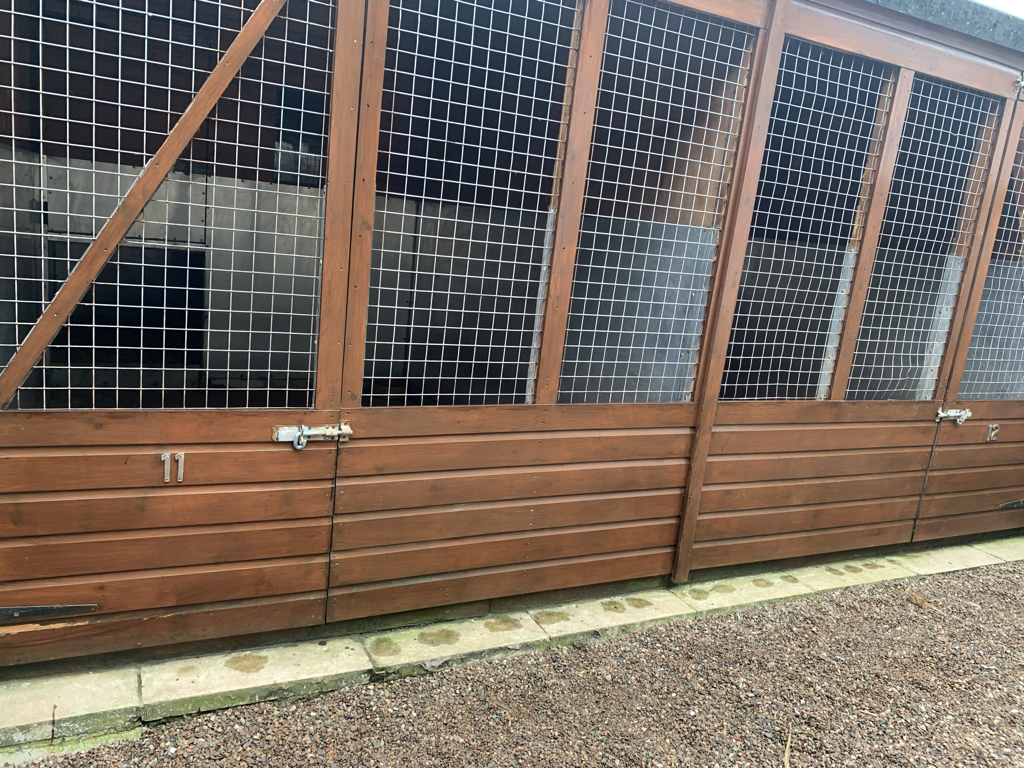Outdoor enclosure with a wooden frame, wire mesh sides, and a latch, possibly for animals.