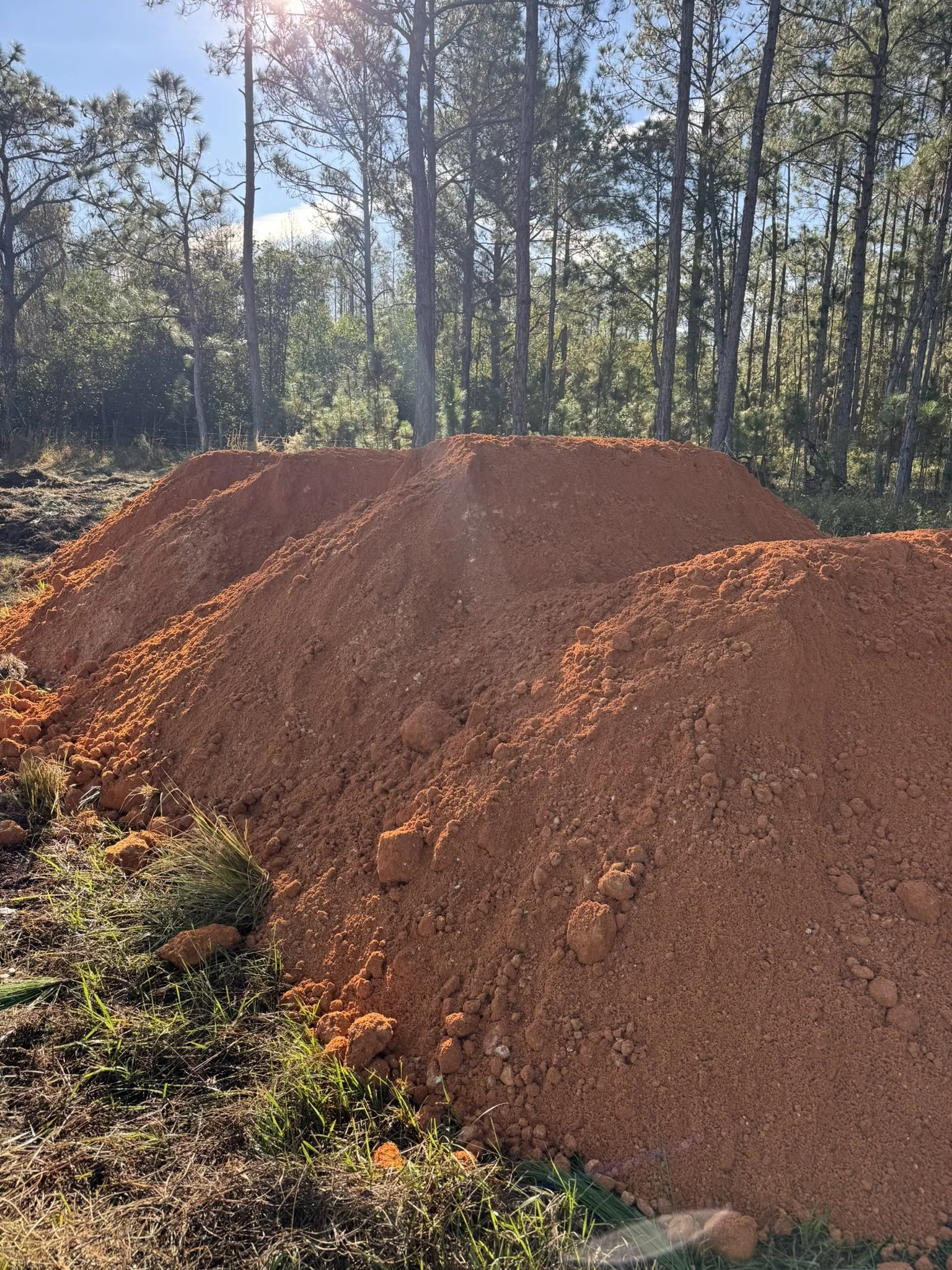 A large pile of red dirt or soil in a clearing surrounded by tall trees with sunlight shining through the branches.