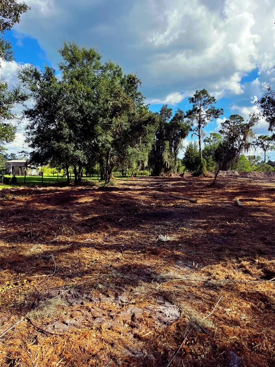 Cleared land with trees and a house in the background under a partly cloudy sky.