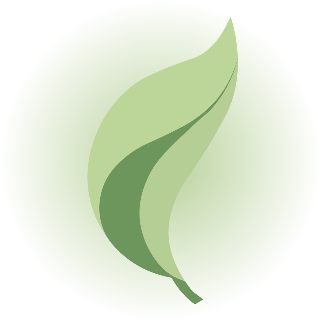 Illustration of a green leaf with light green and dark green sections on a white background.