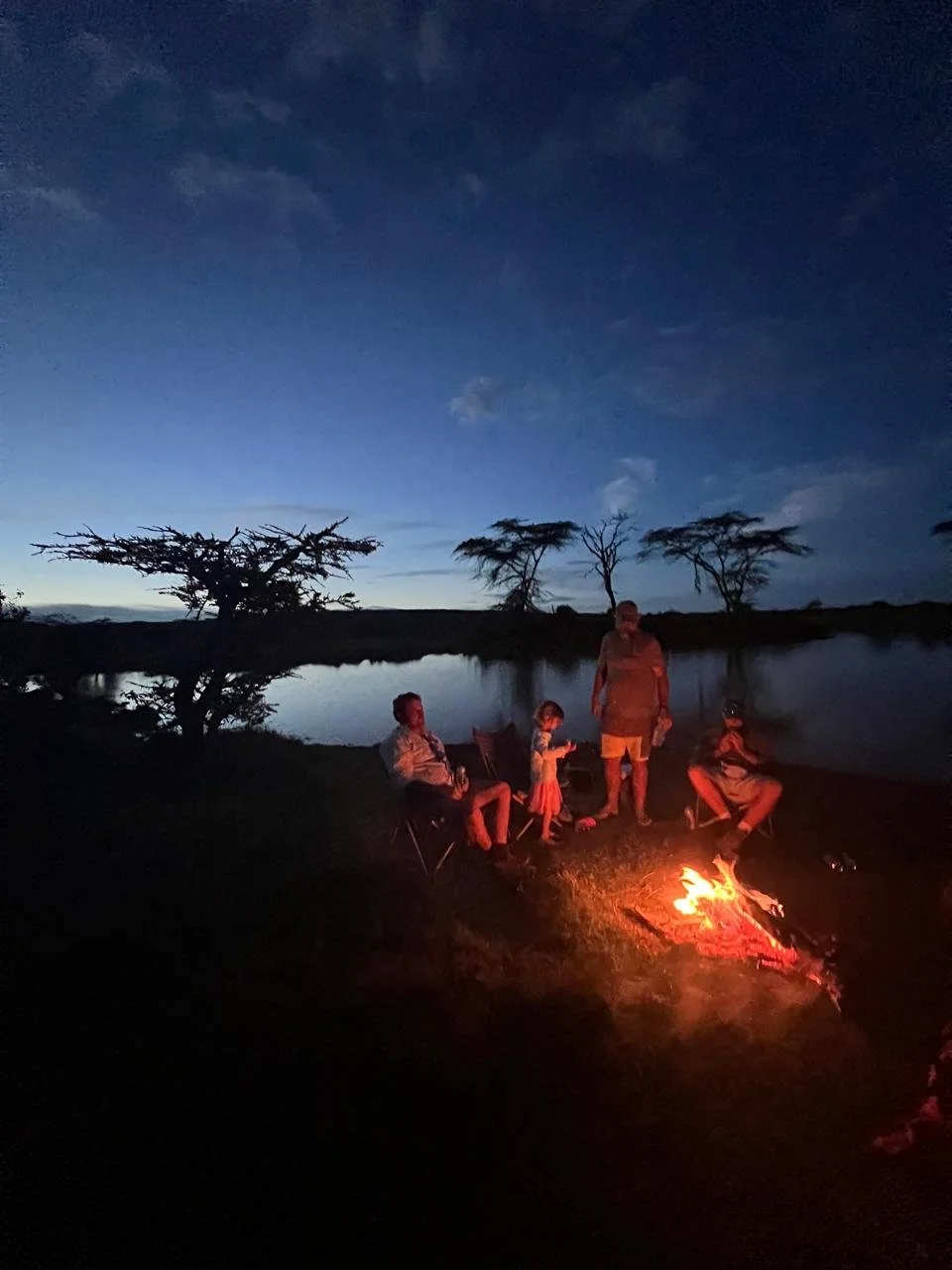 A family of four sitting around a campfire by a lake at dusk in a natural landscape with sparse trees.