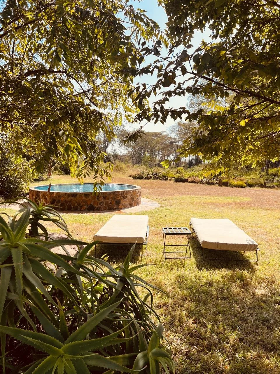 Outdoor scene with a hot tub, two lounge chairs with cushions, and a small table, under a large tree in a grassy area.