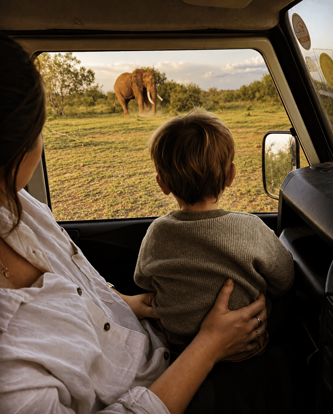 A woman and a young boy inside a vehicle watching an elephant outside in a savannah landscape.