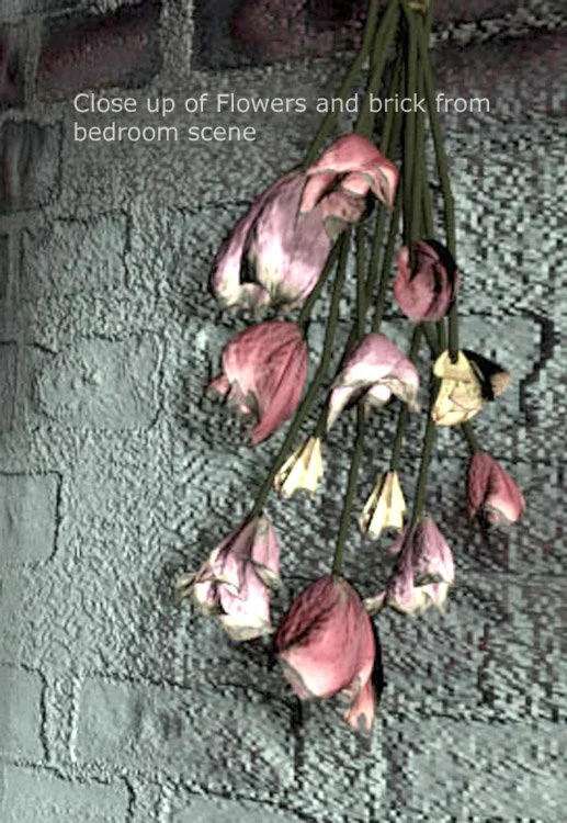 Closeup of brick and dried flowers for a 3D Visualization study of texture and light. NURBS models.