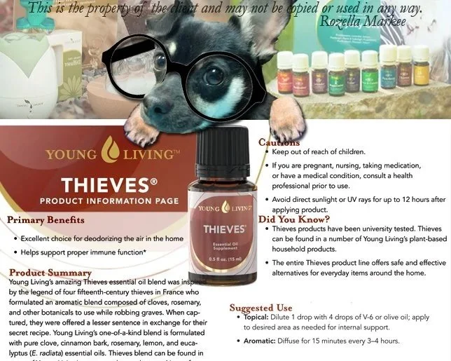 Client Project: Design created for daily social media posts to connect with customers. Owner's dog was used in designs to connect with the customers and an added humor element.