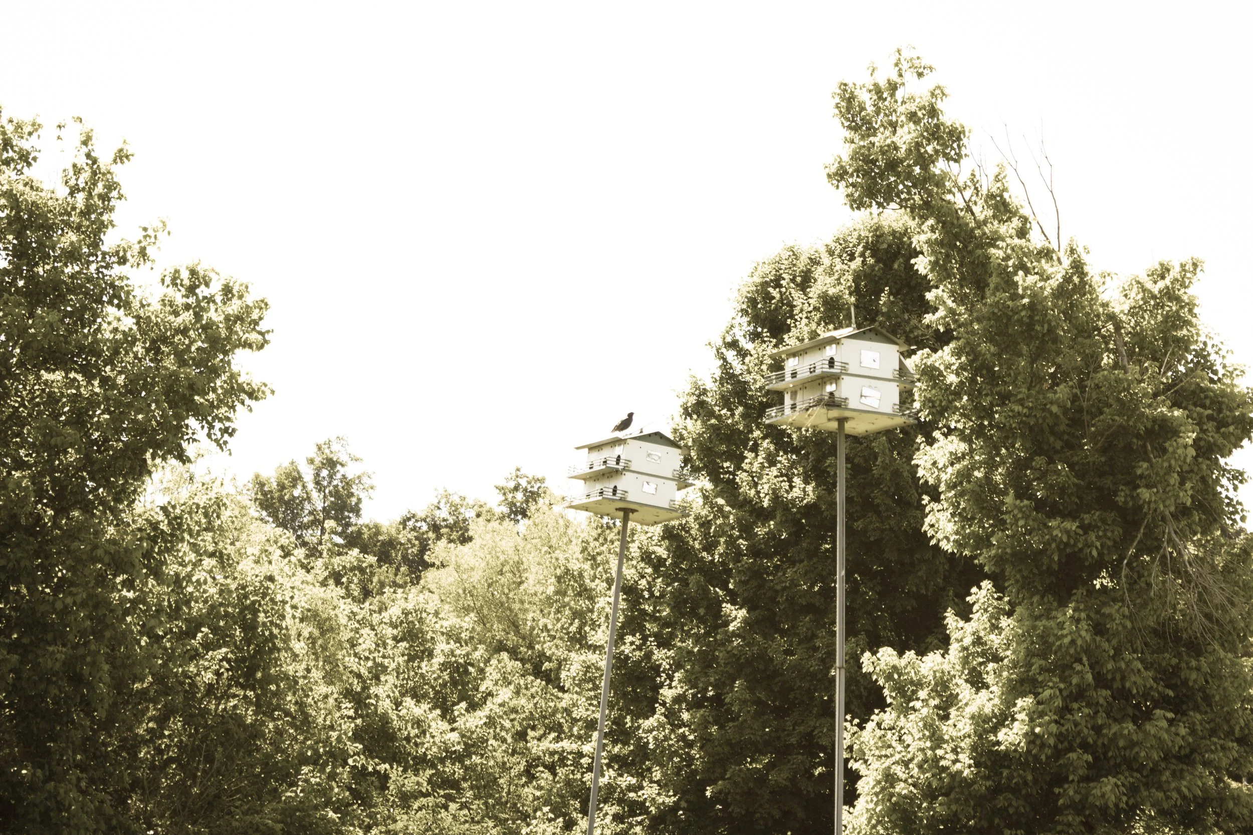 Photo and treatment of a rural area.