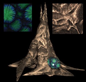 SCEA — Environment Texturing & Visualization
Created and tested textures for environment assets used in in-game visualization for an unreleased title, using Mari.